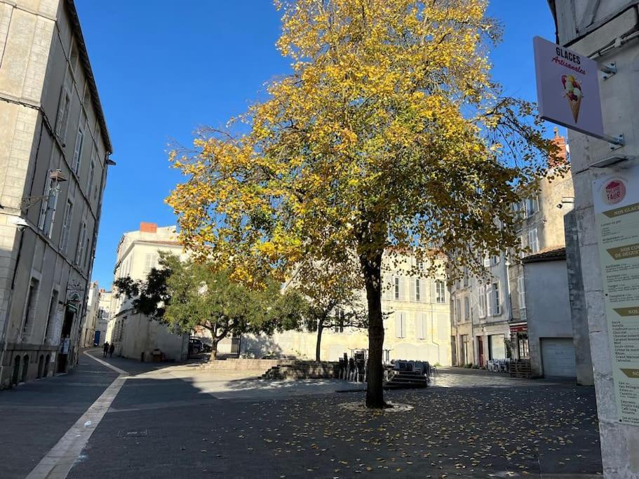 Le Logis Des Templiers Vieux Port Apartment La Rochelle  Luaran gambar
